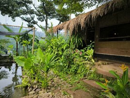 Vista desde la propiedad