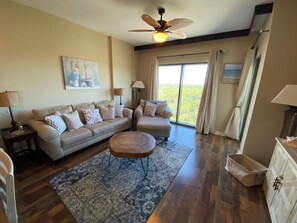 Älytelevisio, DVD-soitin