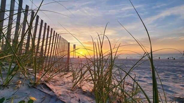A beach scene with a wooden fence, sand, and grass in the foreground.