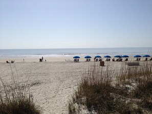 Beach nearby - Walk to the Beach from 31 The Moorings – Free Amenities & Luxe Comfort (Hilton Head Island)