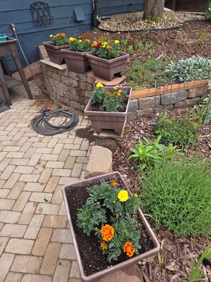 Overnattingsstedets uteområder