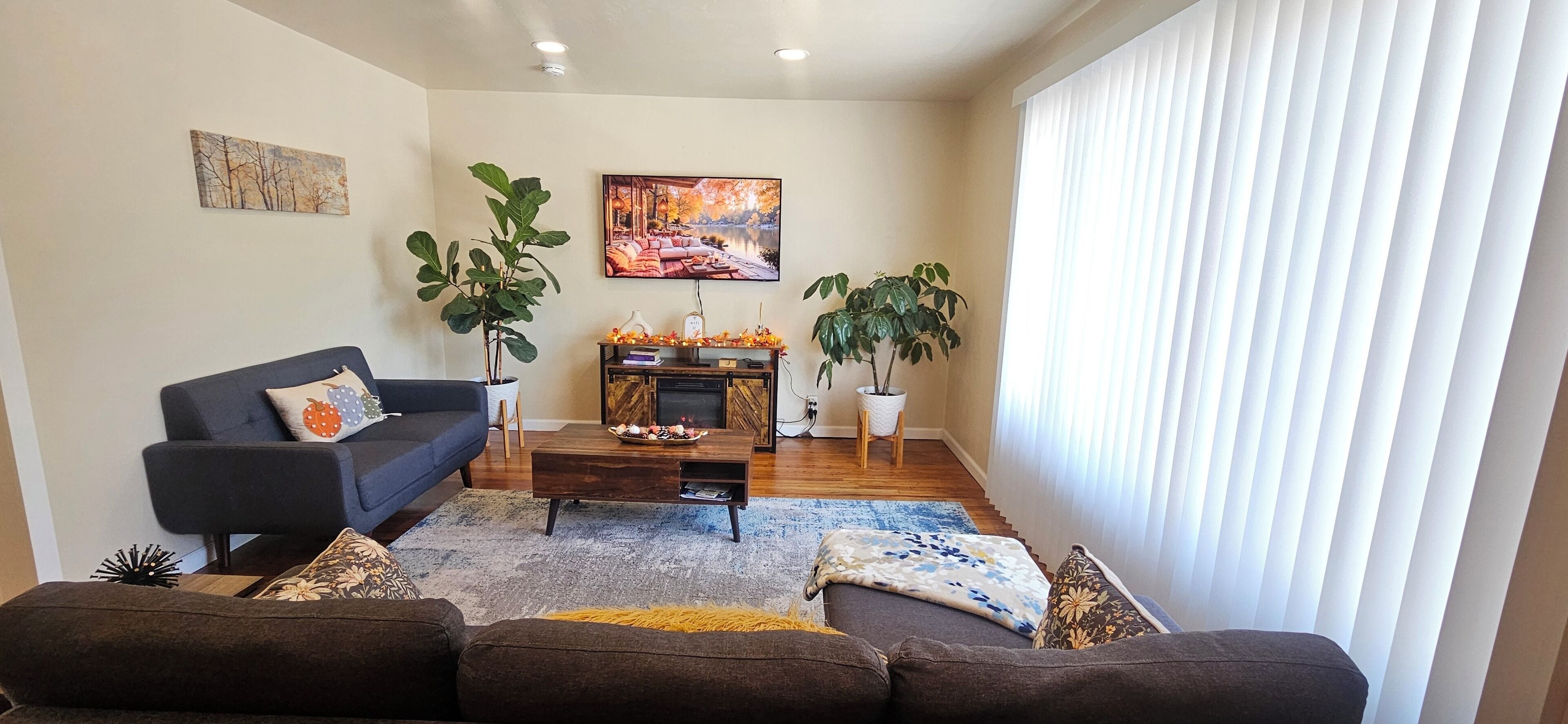 智能电视、壁炉、书