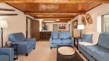 Smart TV, fireplace, computer monitors