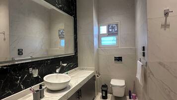 Shower, bidet, towels, soap
