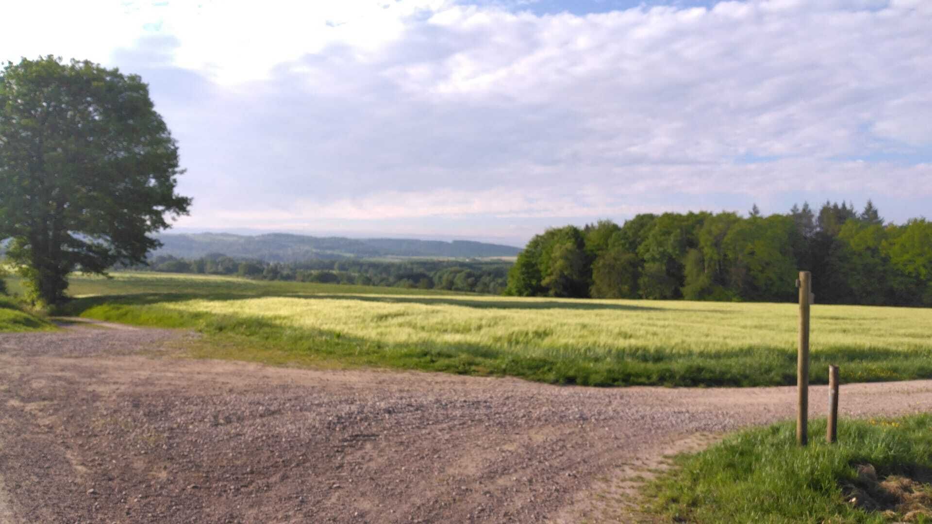 A gravel path leading into a rural landscape with fields and trees.