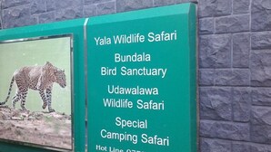 Un cartel que enumera Safari de Vida Silvestre Yala, Bundala, Santuario de Aves, Safari de Vida Silvestre Udawalawa y Safari de Campamento Especial.