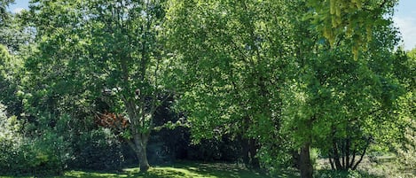 Boendeområde