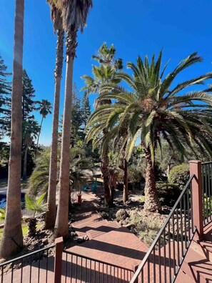 Property grounds - Lake side relaxing resort for family and group retreat. (Granite Bay)