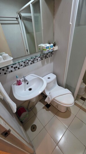 Dusche, Haartrockner, Bidet, Handtücher