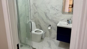 A bathroom with a glass-enclosed shower, a toilet, and a sink with a mirror above it. - Two bed flat cobh (Cobh)