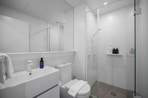 Hair dryer, towels, soap, shampoo