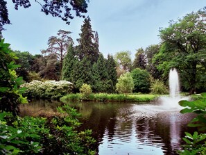 Stroll through a serene garden oasis with a central water feature and lush greenery.
