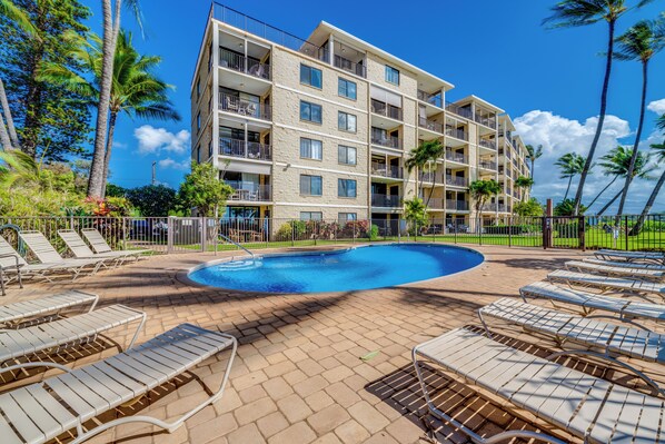 A hotel with a swimming pool, lounge chairs, and palm trees. - Kihei Beach #210 – Oceanfront Gem with A/C, Lanai, Pool and Sugar Beach Access (Kihei, Maui)