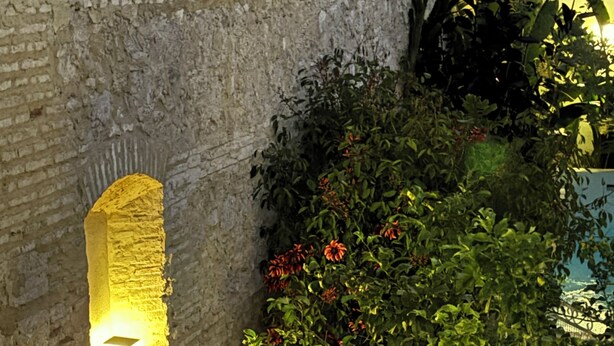 A stone wall with a small illuminated window, lush greenery, and a patterned floor.