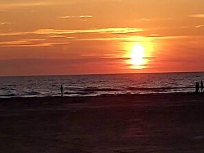 クラシック アパートメント 1 ベッドルーム | 外観