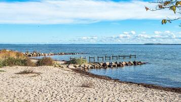 Classic Apartment, 1 Bedroom | Pantai