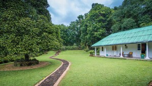 Une maison dotée d’un toit végétalisé, entourée d’une végétation luxuriante et bordée d’un chemin en pierre.