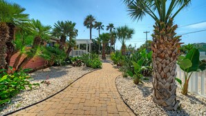 A paved pathway flanked by palm trees and plants, leading to a building with a covered porch.
