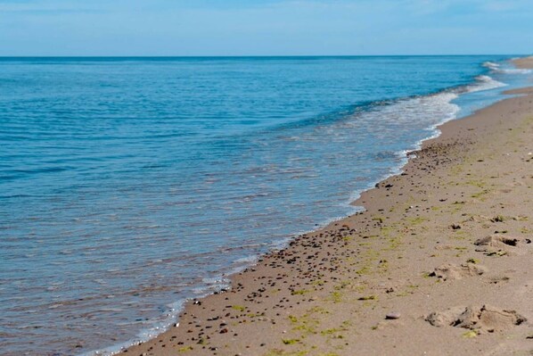 Nära stranden