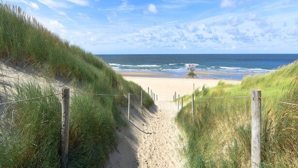 Ein Sandweg am Strand, der zum Meer führt, umgeben von grasbewachsenen Dünen und einem Holzzaun.