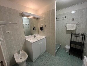 Shower, hair dryer, towels
