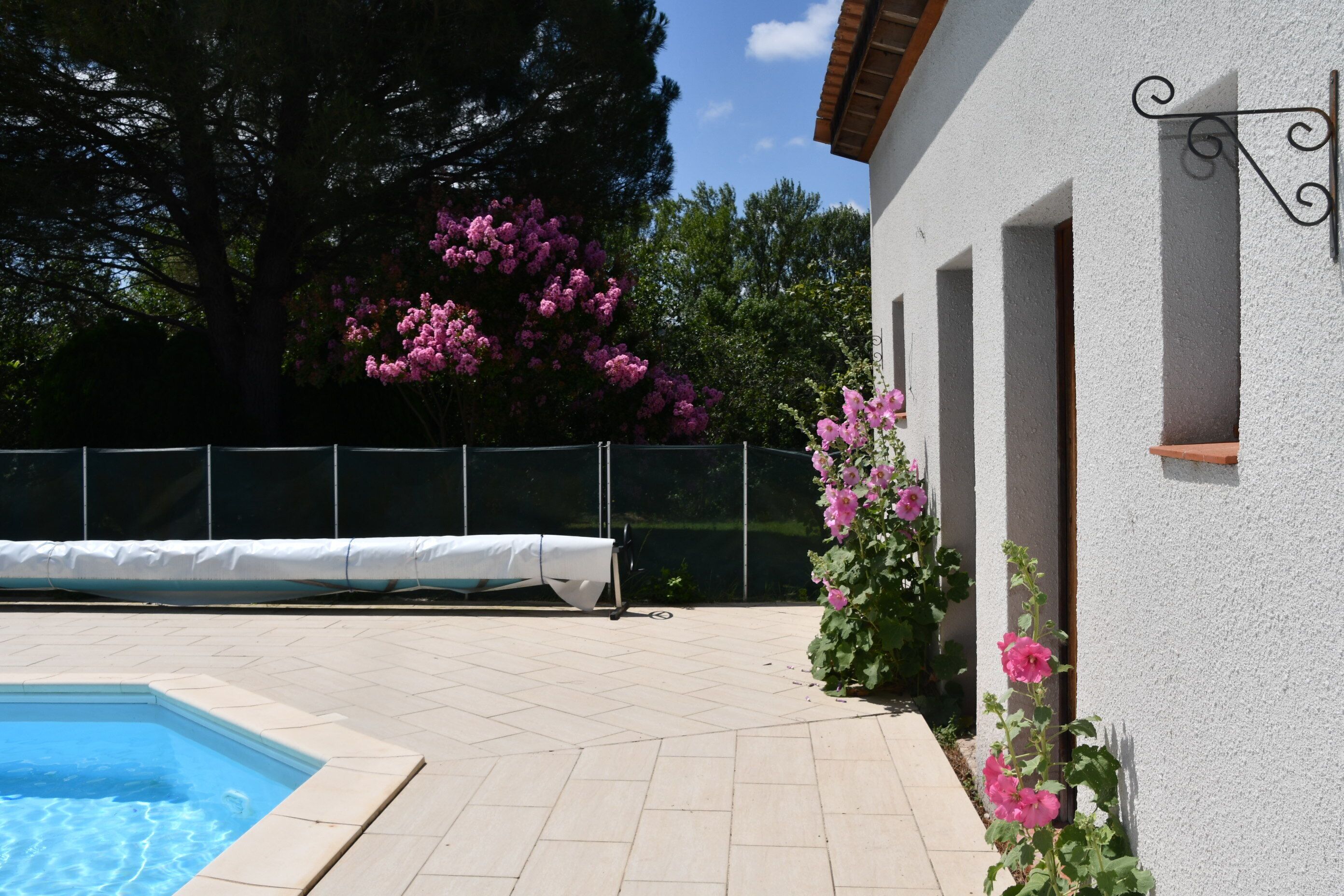 En swimmingpool med flisbelagt dæk, omgivet af en hvid mur med et vindue og en dør. Der er lyserøde blomster og et træ i baggrunden.