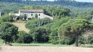 Ein rustikales Haus, umgeben von dichtem Grün und Bäumen.