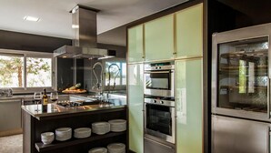 A modern kitchen with stainless steel appliances, a central island with a gas stove, and a large window providing natural light. - Villa Bacio - My Rental Homes (San Jose)
