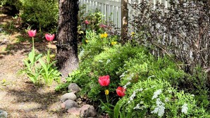 A garden with a white picket fence, a tree, and various plants and flowers. - Villa Mosahiisi Charming Poolside Getaway (Helsinki)