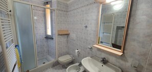 Shower, hair dryer, bidet, towels