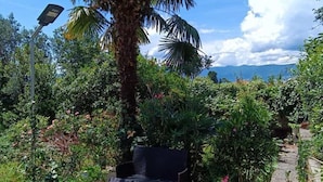 A garden with a palm tree, a black chair, and a concrete pathway. - Luxury apartment Ivone with balcony (Rijeka)