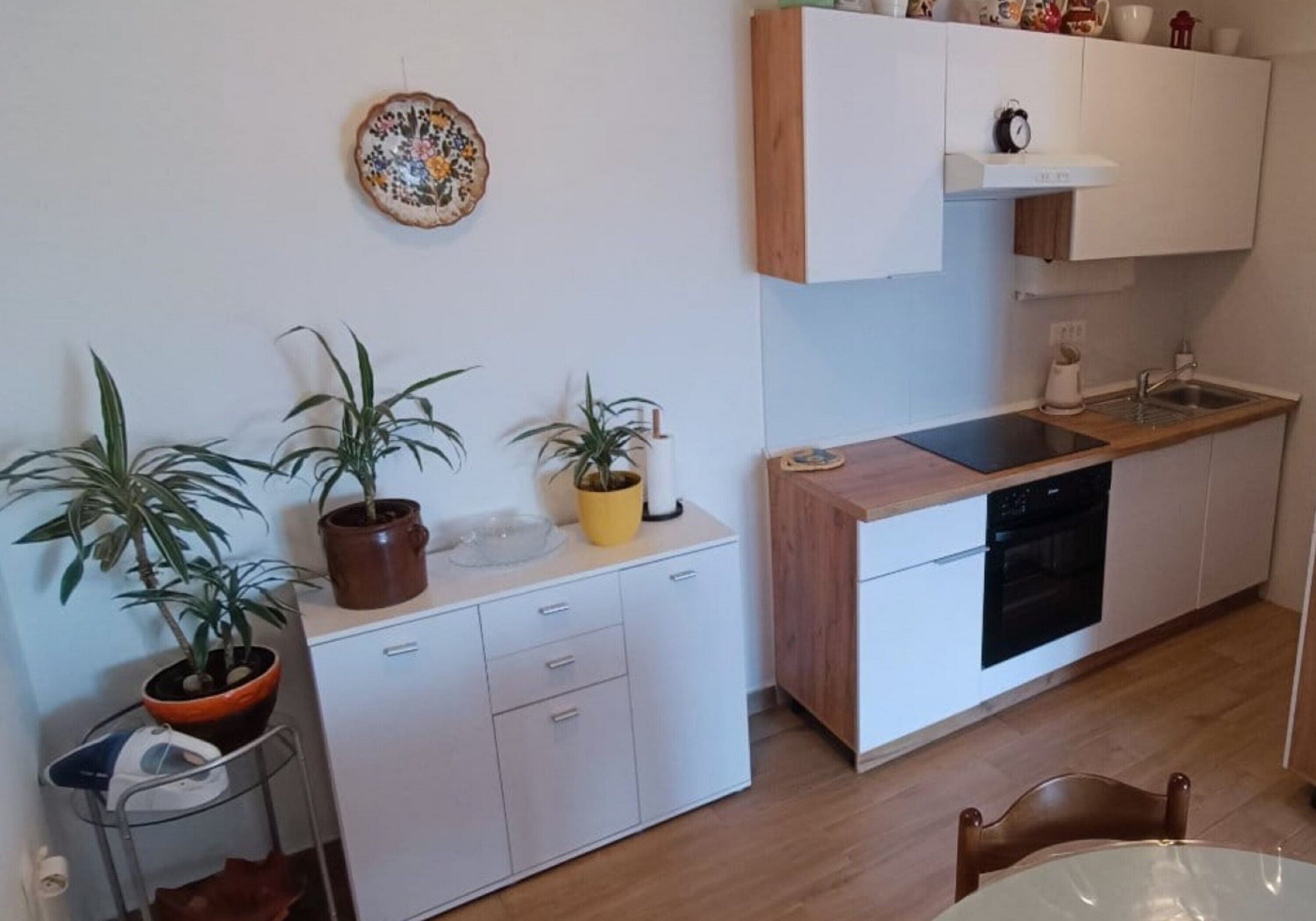 A compact kitchen with white cabinets, a wooden countertop, a sink, and a dishwasher. There are potted plants on the counter and a decorative plate on the wall.