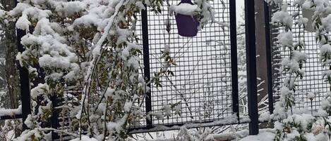 A snow-covered garden with a metal fence and a hanging flower pot.