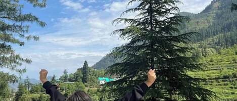 A person with arms raised, overlooking a mountainous landscape with a large evergreen tree and terraced fields.