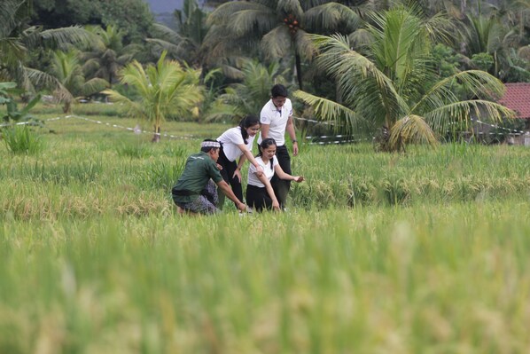 A group of people in a field with tall grass and palm trees in the background.