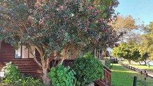 Un bac à fleurs en pierre contenant un arbre, avec un escalier en bois menant à un bâtiment.