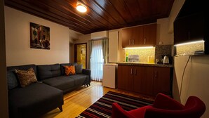 A living room with a sofa, a red chair, wooden flooring, a kitchen area with cabinets, and a ceiling light.