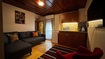 Classic Apartment, Kitchenette, Park View | Living room | 49-inch Smart TV with satellite channels, Netflix, streaming services