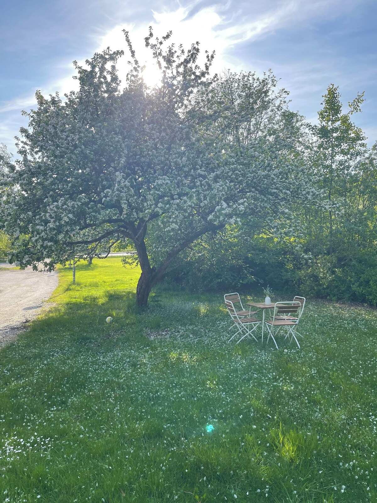 Värdens profilbild