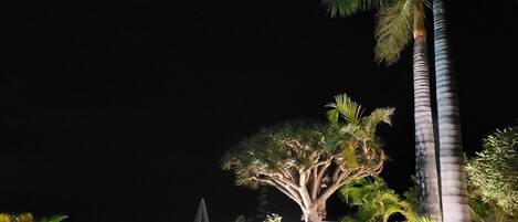 泳池
