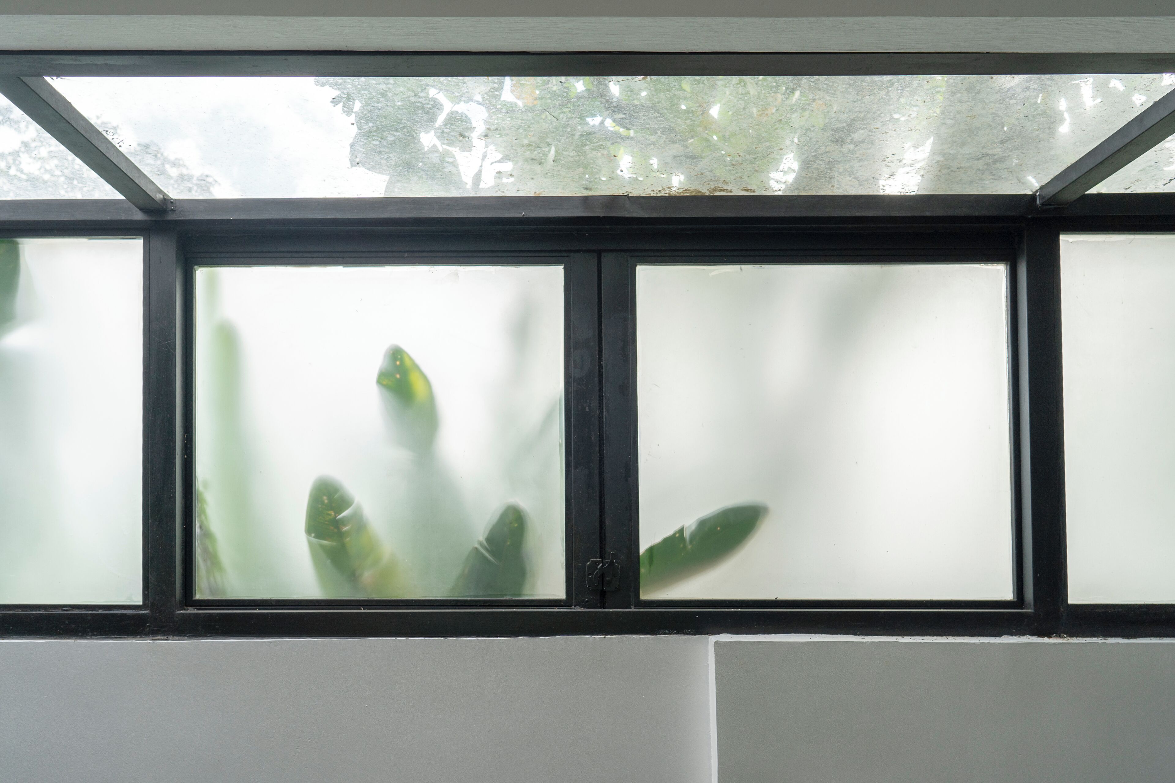A window with frosted glass panels and a view of greenery outside.