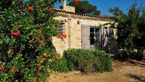 A rustic stone building with a wooden door and window shutters, surrounded by lush greenery and flowering plants. - Pool, relax, and Olives at Masseria Don Tommaso and its guesthouse (Specchia)