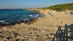A beach with clear blue water, sandy shore, and some greenery. - Pool, relax, and Olives at Masseria Don Tommaso and its guesthouse (Specchia)