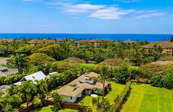 Una zona residencial costera con casas rodeadas de abundante vegetación y una vista despejada del océano.