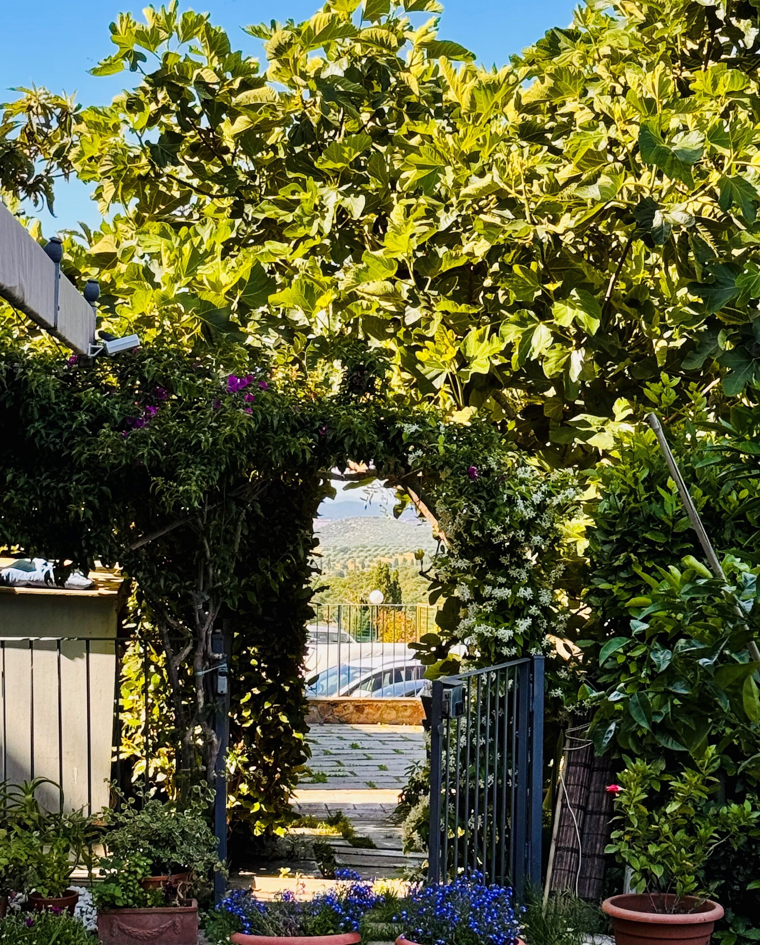 Overnattingsstedets uteområder