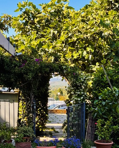 Casa di Gio - Vacation in the heart of the Tuscan Maremma