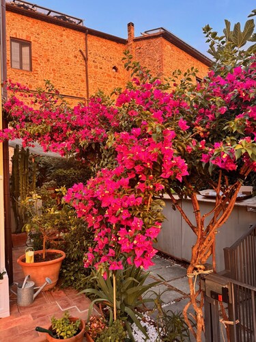 Casa di Gio - Vacation in the heart of the Tuscan Maremma