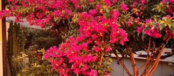 Casa di Gio - Vacation in the heart of the Tuscan Maremma