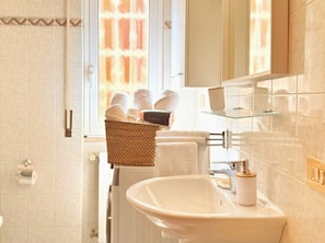 Shower, hair dryer, bidet, towels