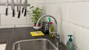 A kitchen with a stainless steel sink, a potted plant, a dish rack, and a bottle of dish soap. - Seaside house in the heart of nature (Oosterend)